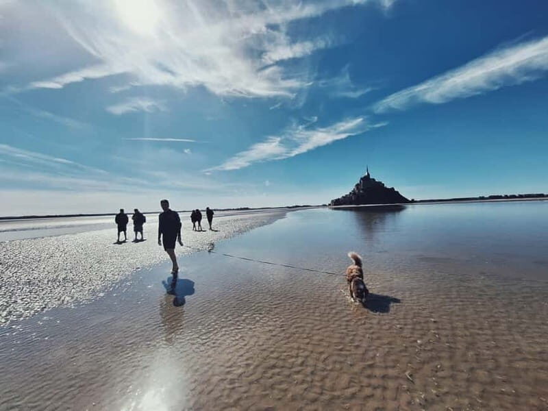 Bay of Mont Saint-Michel : Quicksands And Discovery - Meet Julian at the Mont entrance and get your bearings fast