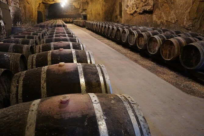 Burgundy Wine Tasting Small-Group Tour in Chablis from Paris - Domaine Jean-Marc Brocard: The First Tasting That Sets Expectations