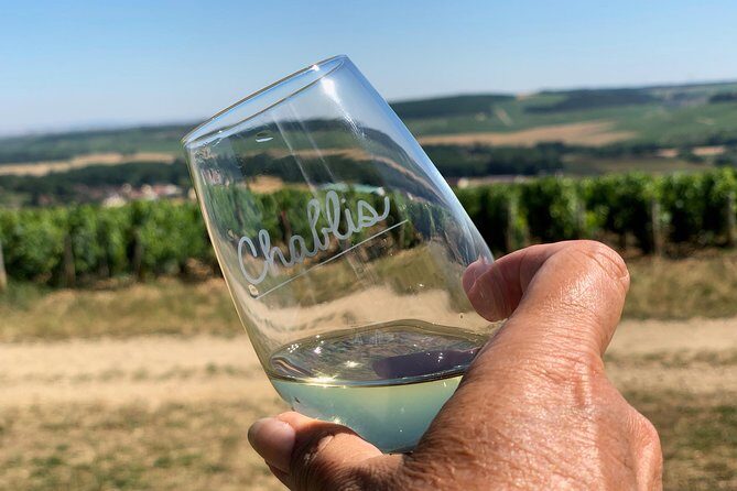 Burgundy Wine Tasting Small-Group Tour in Chablis from Paris - Domaine PL & JF Bersan: The Historic Cellar Finale (Plus a Possible Change)