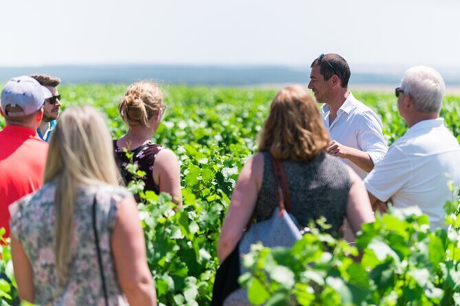 Burgundy Wine Tasting Small-Group Tour in Chablis from Paris - Stop in Chablis for Lunch: How to Use the 1.5-Hour Break