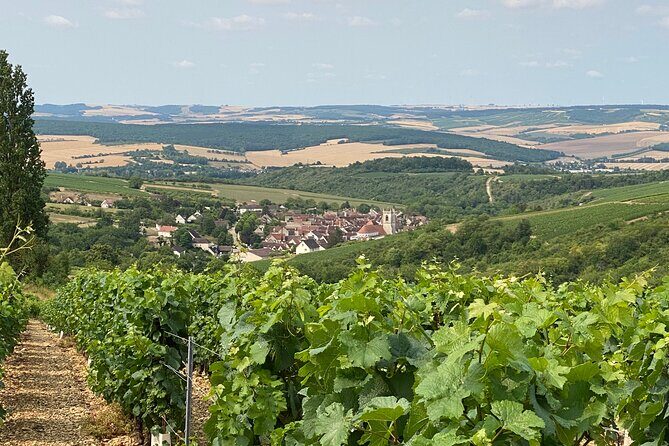 Chablis and Burgundy Wine Tour Run by Sommelier with Lunch - Transport, timing, and why the small group matters