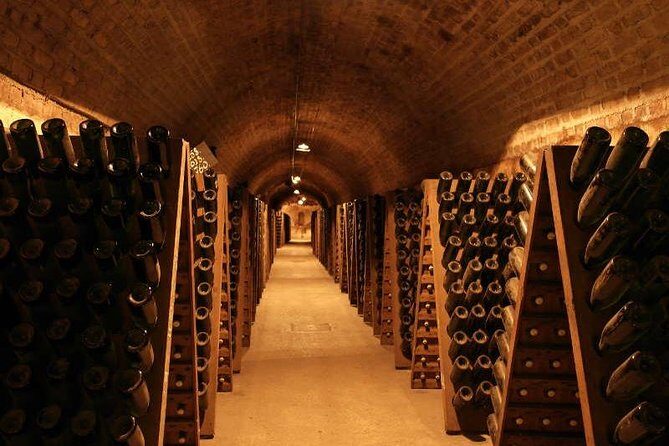 Champagne and Reims Tasting Day Trip from Paris - Hautvillers Abbey and Vine Country: Where Terroir Becomes Real