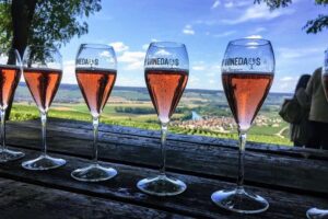 Champagne Day Trip from Paris with 8 Tastings & Lunch - Reims and the Notre-Dame de Reims quick hit