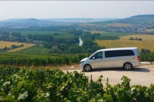Champagne Day Trip from Reims including 9 Champagne Tastings - Reims Morning Drive-By: Veuve Clicquot, Mumm, Roman Ruins, and Notre-Dame