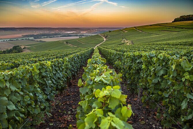 Champagne Day Trip from Reims including 9 Champagne Tastings - Champagne-Ardenne: The Third Grower Stop and a Strong Finish