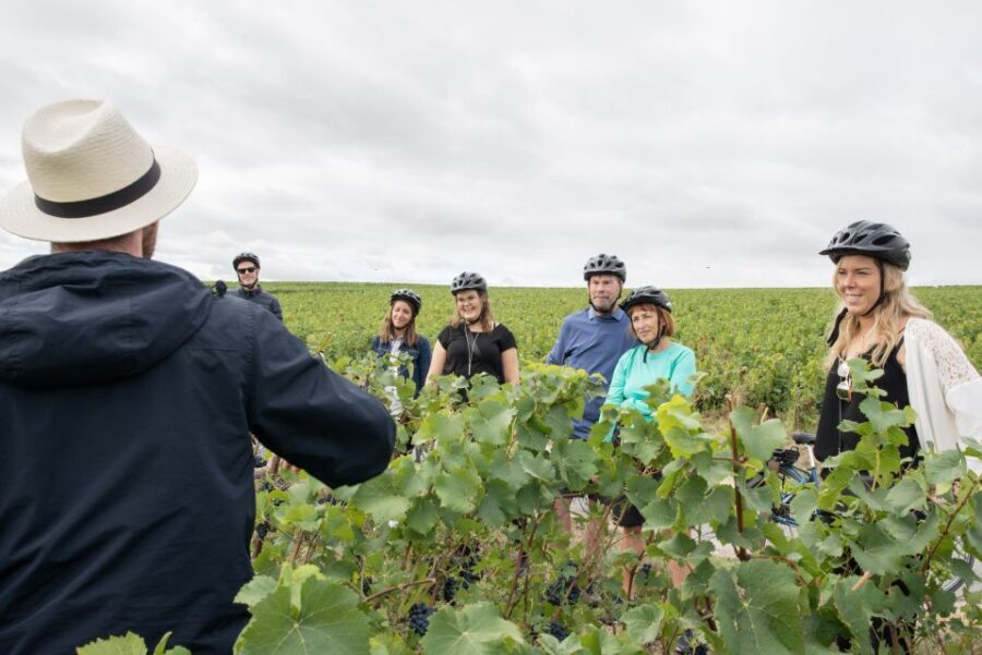 Champagne: E-Bike Champagne Day Tour with Tastings and Lunch - Price and Value: What $224 Buys You