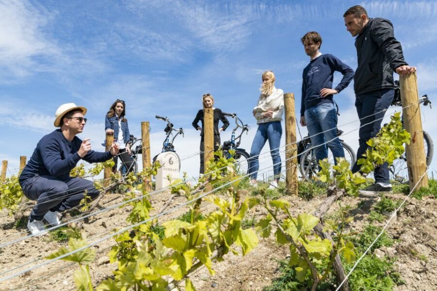 Champagne: E-Bike Champagne Day Tour with Tastings and Lunch - Entering The Champagne Route: How the Day Flows