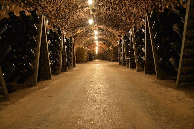Champagne experience with a vintage van from Epernay - 3 hours - From Épernay’s Avenue de Champagne to the Vineyards