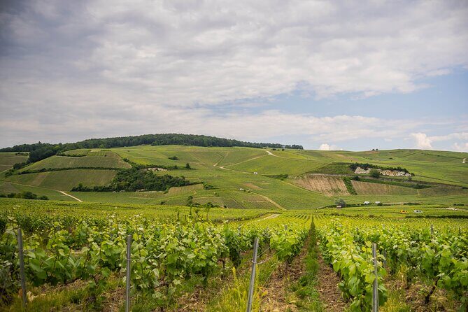 Champagne experience with a vintage van from Epernay - 3 hours - What You Really Get for $96.75