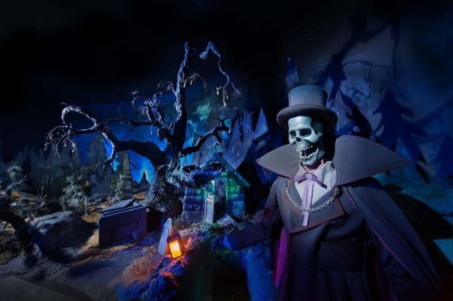 Disneyland® Paris Tickets for Train and Parks - What it feels like on the ground: guided clarity without being forced along