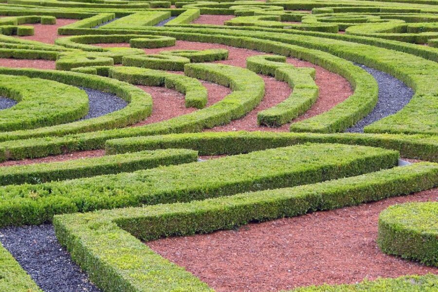 Fontainebleau & Vaux-le-Vicomte Châteaux Day Tour from Paris - Lunch Reality Check: It’s Not Included, and It Can Be Busy