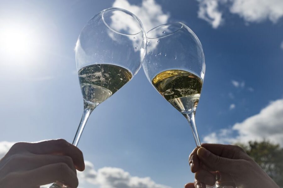 From Epernay : Bubble Champagne Tour 6 tastings - Abbaye Saint-Pierre d’Hautvillers: Dom Pérignon’s Grave Stop