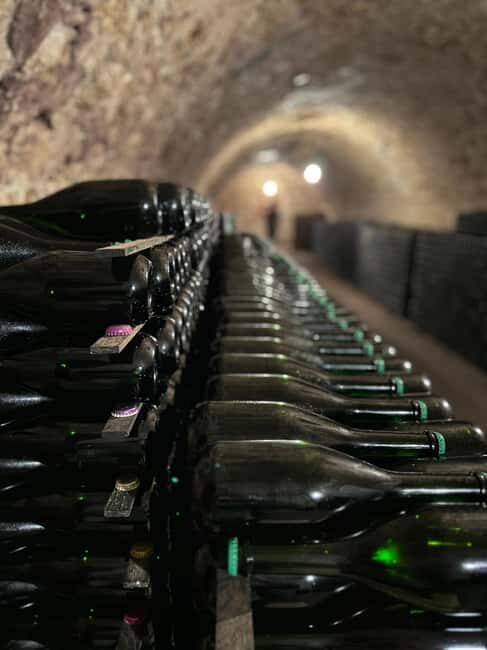 From Epernay : Bubble Champagne Tour 6 tastings - The Oger Visit: Press, Winery, Cellar, Then 3 Tastings