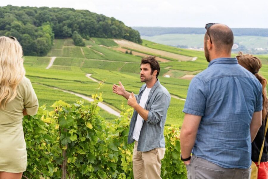 From Paris: Day Trip to Champagne with 8 Tastings & Lunch - Lunch Paired With Champagne Styles You’ll Recognize Later