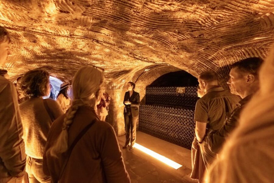From Paris: Day Trip to Champagne with 8 Tastings & Lunch - Second Producer Stop: Comparing a Different Kind of Champagne