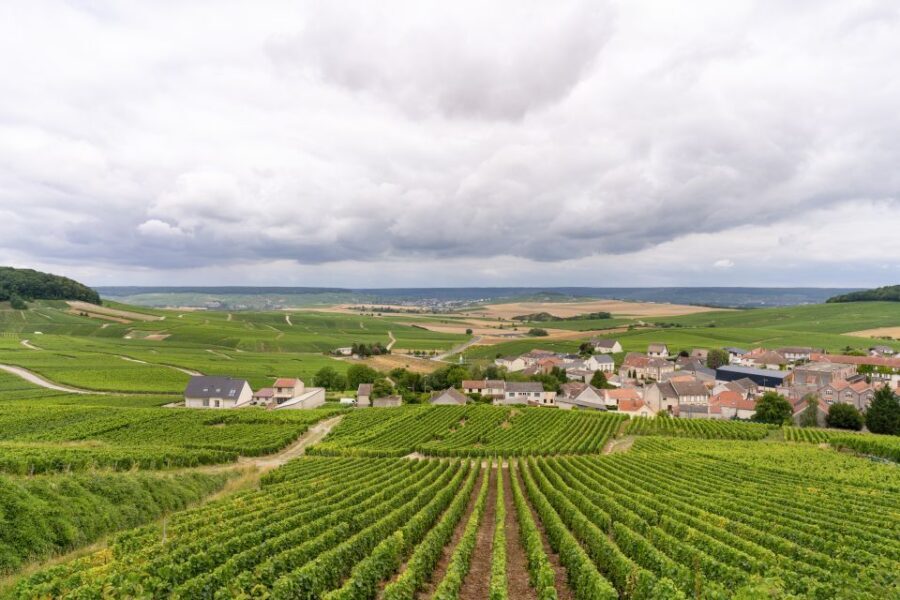 From Paris: Day Trip to Champagne with 8 Tastings & Lunch - Price and Value: What You’re Paying For