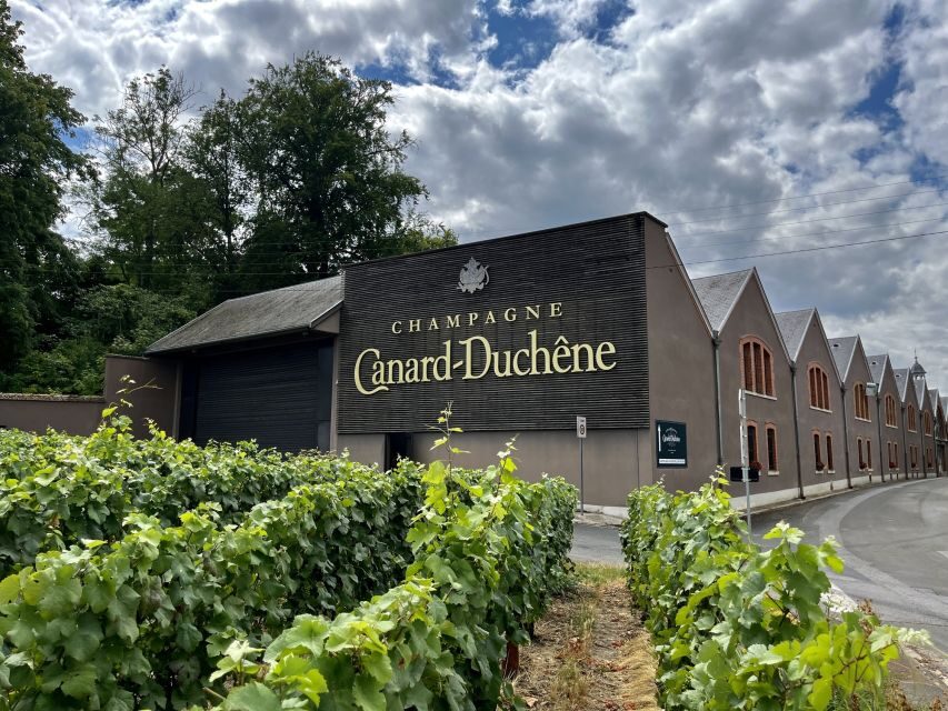 From Paris: Reims and Champagne Tasting Full-Day Tour - Lunch in Épernay: 3 courses, real sit-down value