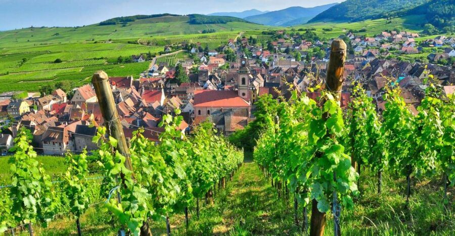 From Paris: Small-Group Champagne Day Trip with Six Tastings - Champagne Day Trip Highlights You’ll Actually Remember