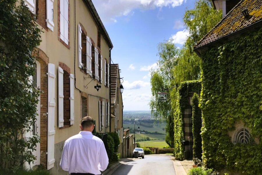 From Reims: Champagne and Family-Run Wineries Tour - Who this tour fits best (and who should look elsewhere)