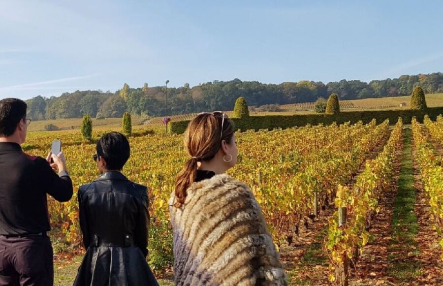 From Reims: Champagne Day Trip to 3 Family Domains & Lunch - Épernay’s Avenue de Champagne: Famous Streets and Tunnel Facts