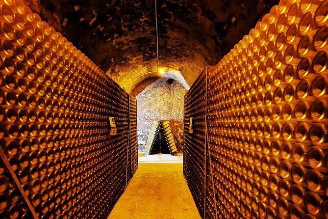 From Reims Champagne Day Trip Veuve Clicquot Local Domain & Lunch - Montagne de Reims vineyard drive: terroir talk on the move