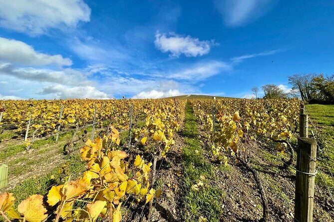 From Reims: Champagne Small-Group tour with tastings & Lunch - Price and value: is $260.12 worth it?
