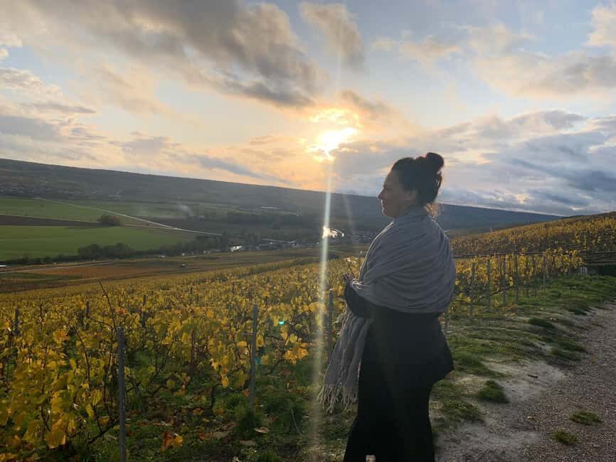 From Reims: Morning Champagne Tour and Tastings - The first estate: cuverie, cellars, and three cuvées that teach you the logic