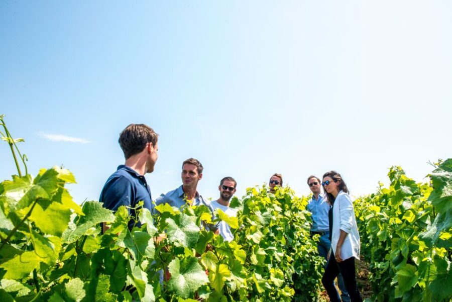 From Reims: Morning Champagne Tour and Tastings - Price and value: what $135 gets you in Champagne education