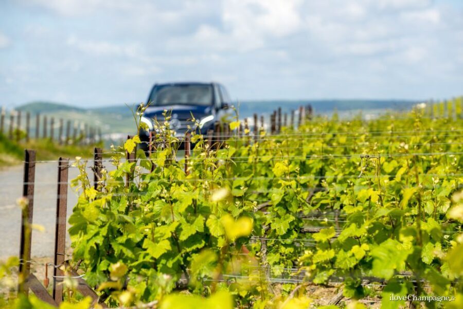 From Reims: Morning Champagne Tour and Tastings - Meeting Reims Centre at 9:20AM: where the tour really starts