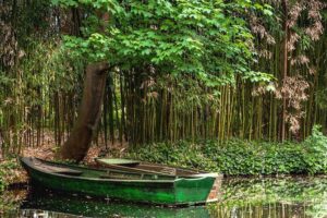 Giverny Small-Group Minivan with Hotel Pickup or Meeting Point - The 7:30, 11:45, and 1:30 Options That Control Your Crowd Level