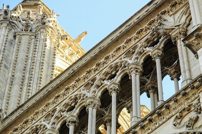 Notre Dame Guided Tour with Scheduled Group Access Option - Group size, pace, and why timing matters more than you think