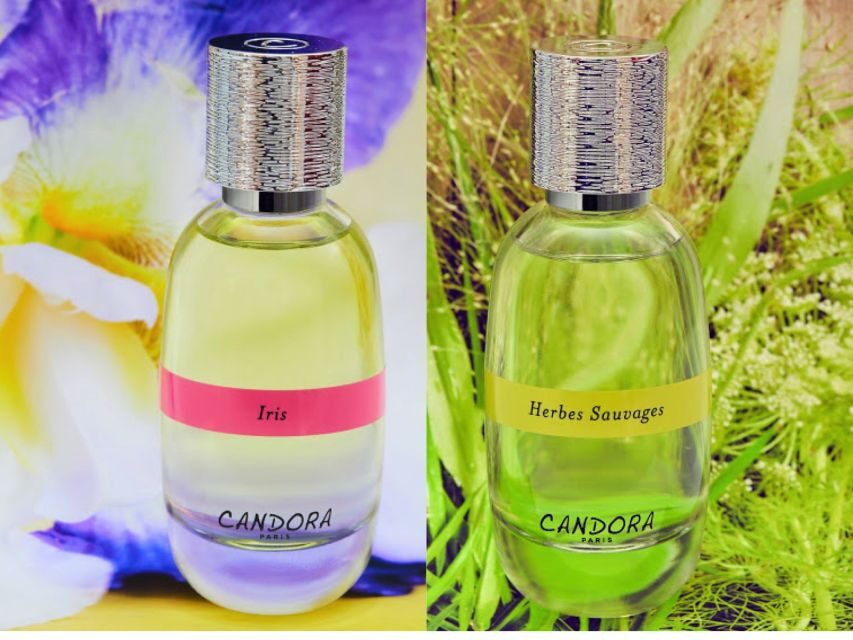 Paris: 2-Hour Perfume Creation Workshop - Candora blending 101: what you’re actually building