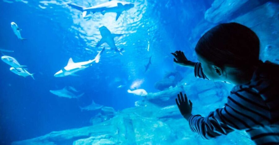 Paris: Aquarium de Paris Entrance Ticket - Key things I’d plan around