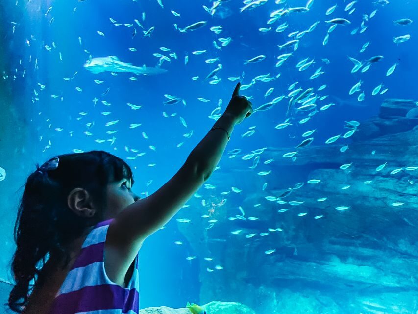 Paris: Aquarium de Paris Entrance Ticket - The touch pool and koi pond: the hands-on highlight (with a reality check)