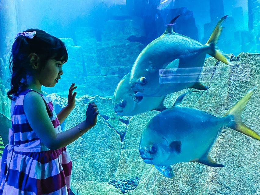 Paris: Aquarium de Paris Entrance Ticket - Cinema, workshops, and live shows: why the visit can stretch to 4 hours