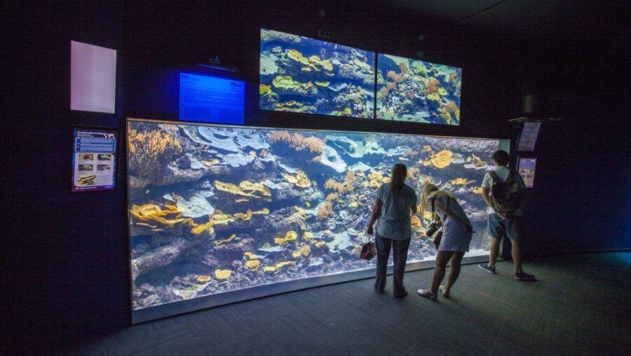 Paris: Aquarium de Paris Entrance Ticket - A quick reality check: self-guided visit, so use the space wisely
