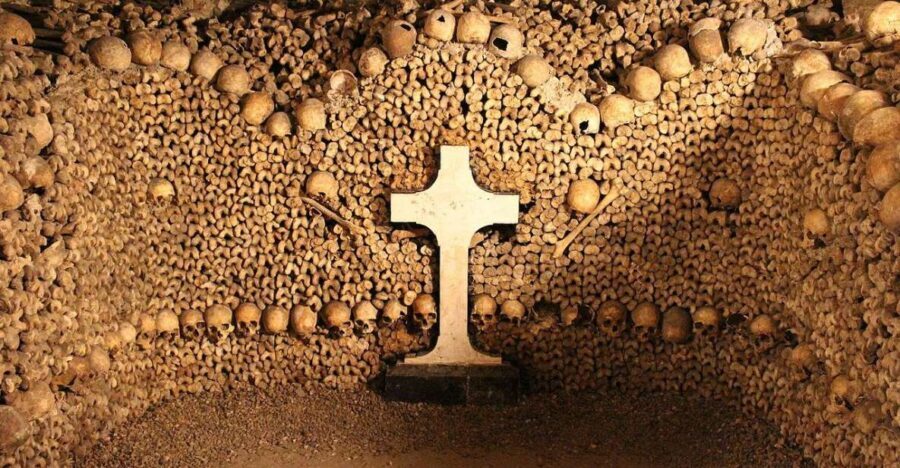 Paris: Catacombs Entry & Seine River Cruise with Audio Guide - Weather and Seine surprises: the one risk you should accept