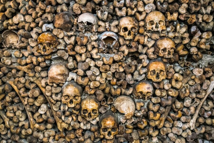 Paris: Catacombs Restricted Access Tour - Should you book the Catacombs Restricted Access VIP tour?