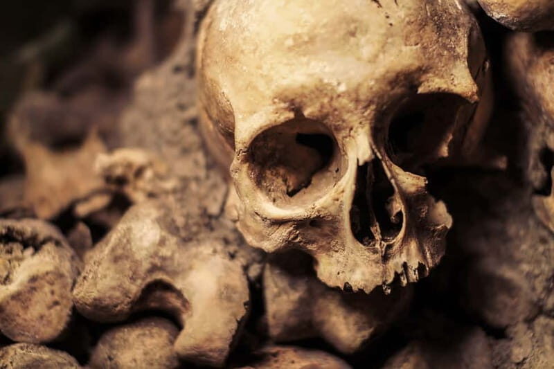 Paris: Catacombs Special Access Tour - The guided underground walk: what you’ll actually see in 2 hours