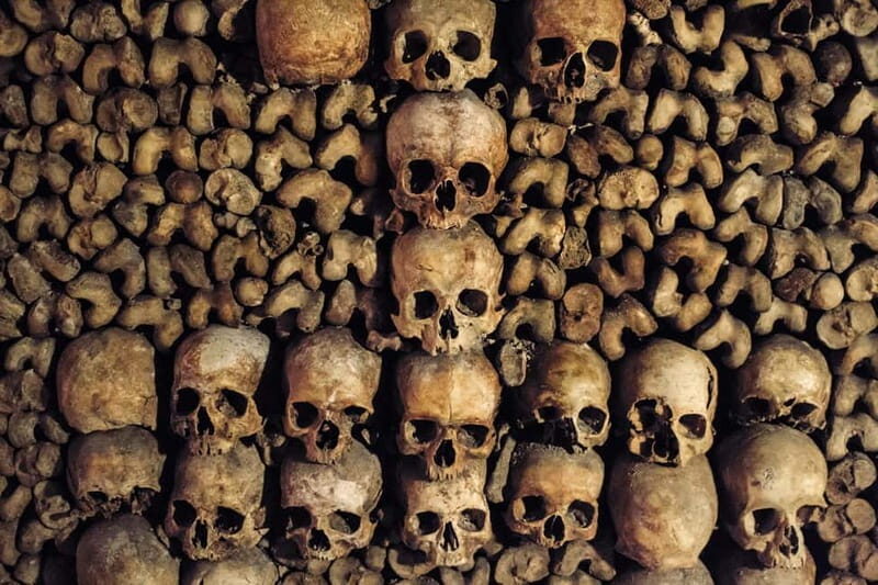 Paris: Catacombs Special Access Tour - Logistics and comfort: what you must plan for underground
