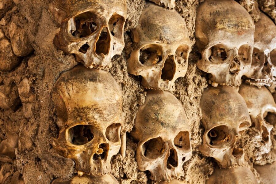 Paris: Catacombs Ticket and Seine River Cruise - Key points before you book