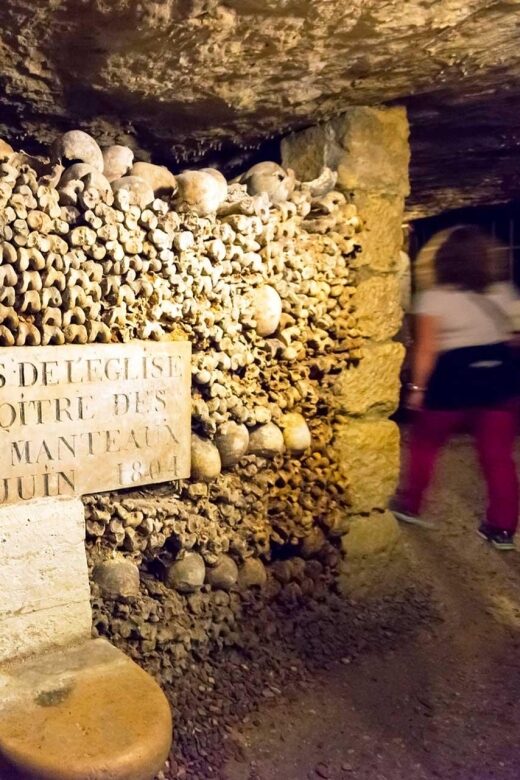 Paris: Catacombs Ticket and Seine River Cruise - Bones underground, Paris above: how the experience flows