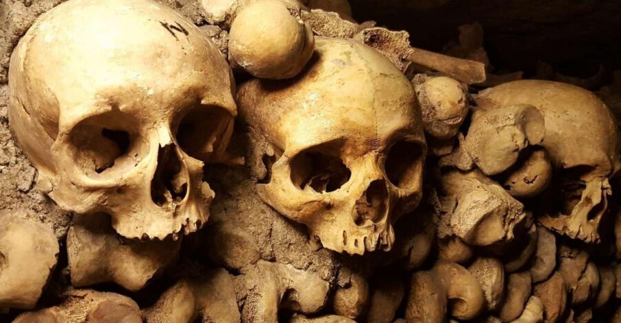 Paris: Catacombs Ticket and Seine River Cruise - What you’ll see in the Catacombs: organized remains and a moving story