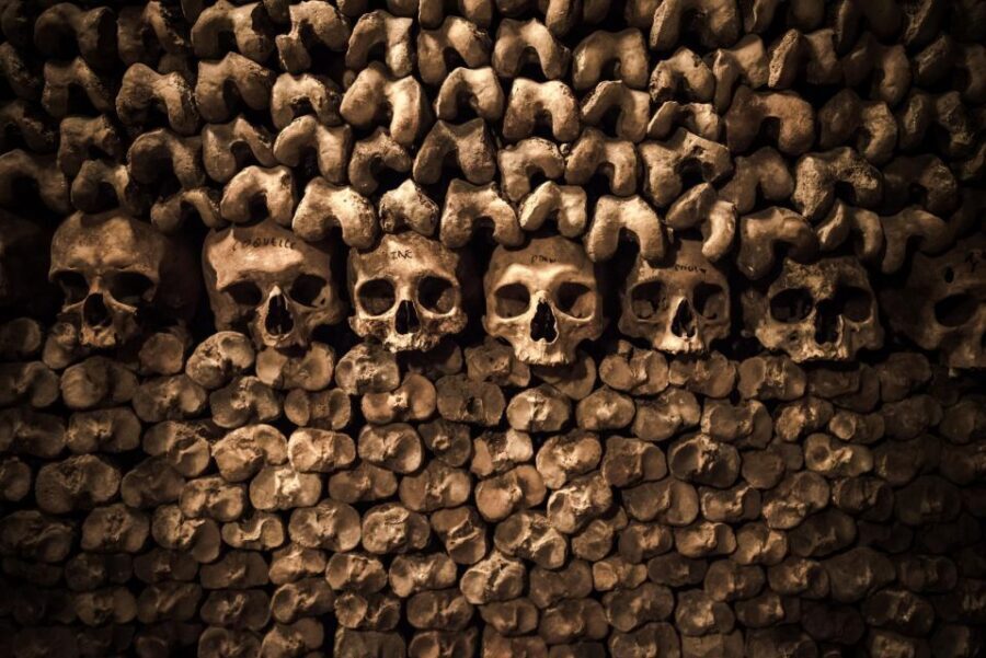 Paris: Catacombs Ticket and Seine River Cruise - Audio on the Seine: choosing views and getting the best time on the water