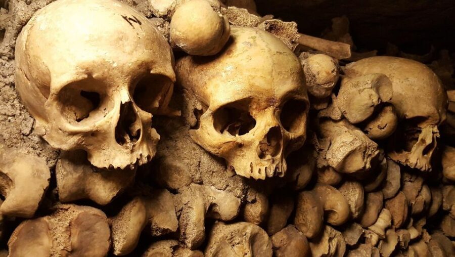 Paris: Catacombs Ticket and Seine River Cruise - Should you book the Catacombs and Seine cruise?