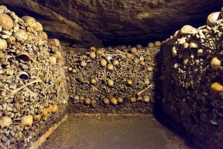 Paris: Catacombs Ticket and Seine River Cruise - Entering the Catacombs: timed entry and the stair workout