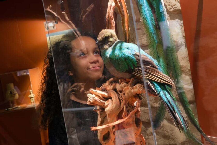 Paris: Entrance Ticket to the Chocolate Museum - Key things to know before you go