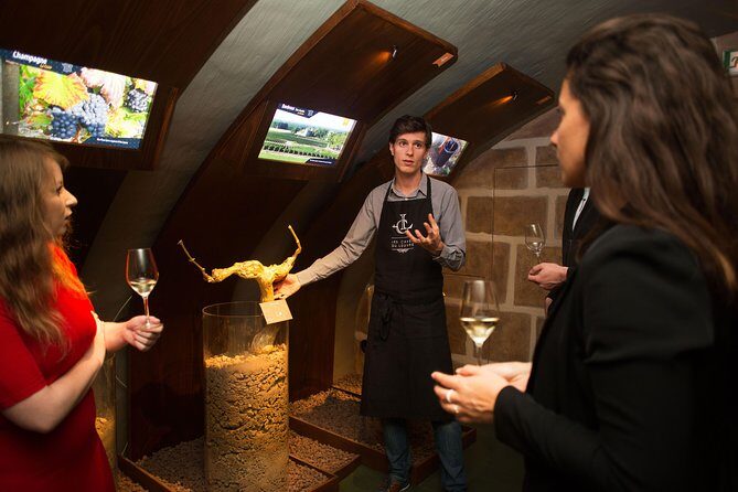 Paris - Guided Visit & Tasting in a Royal Wine Cellar - How the cellar experience uses the senses (and why that’s useful)