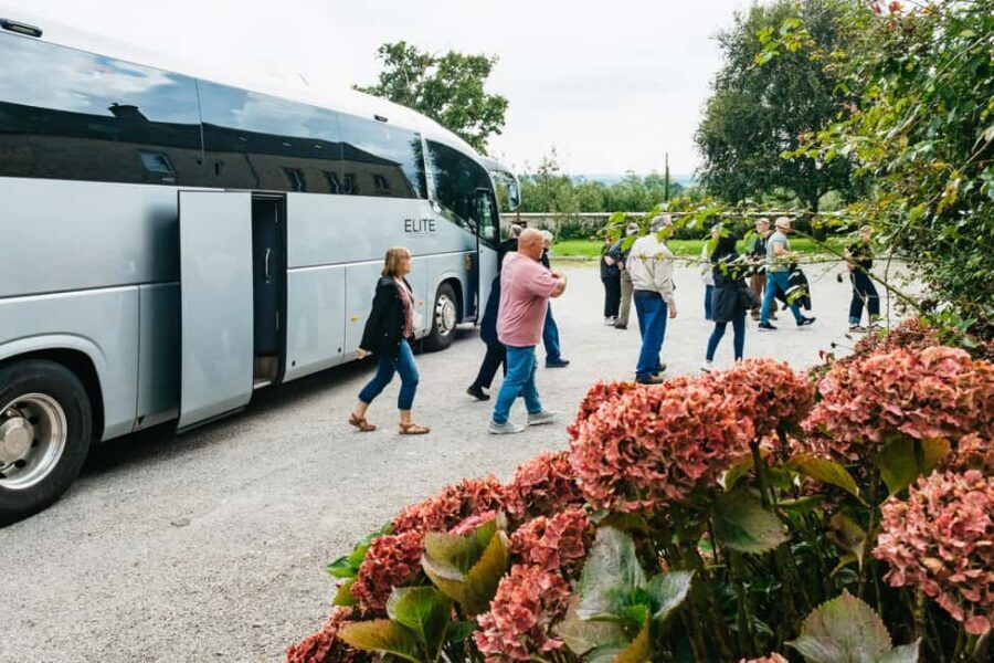 Paris: Normandy D-Day Sites Guided Day Trip with Lunch - Why a one-day Paris to Normandy route makes sense