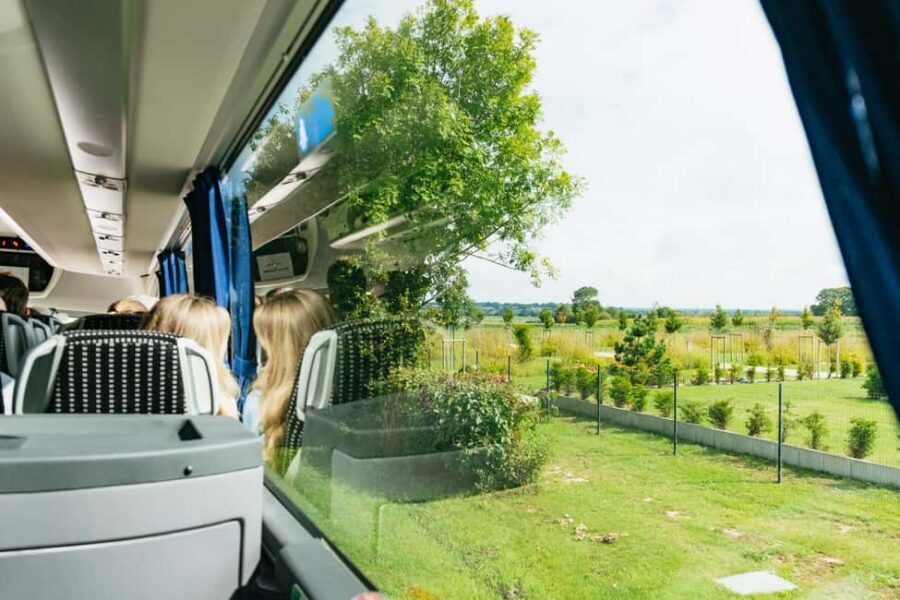 Paris: Normandy D-Day Sites Guided Day Trip with Lunch - Omaha Beach: getting the most from short free time